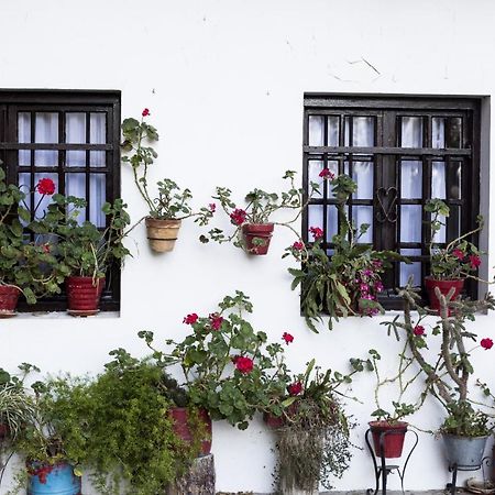 Olerki By Smiling Rentals Hondarribia Exterior foto