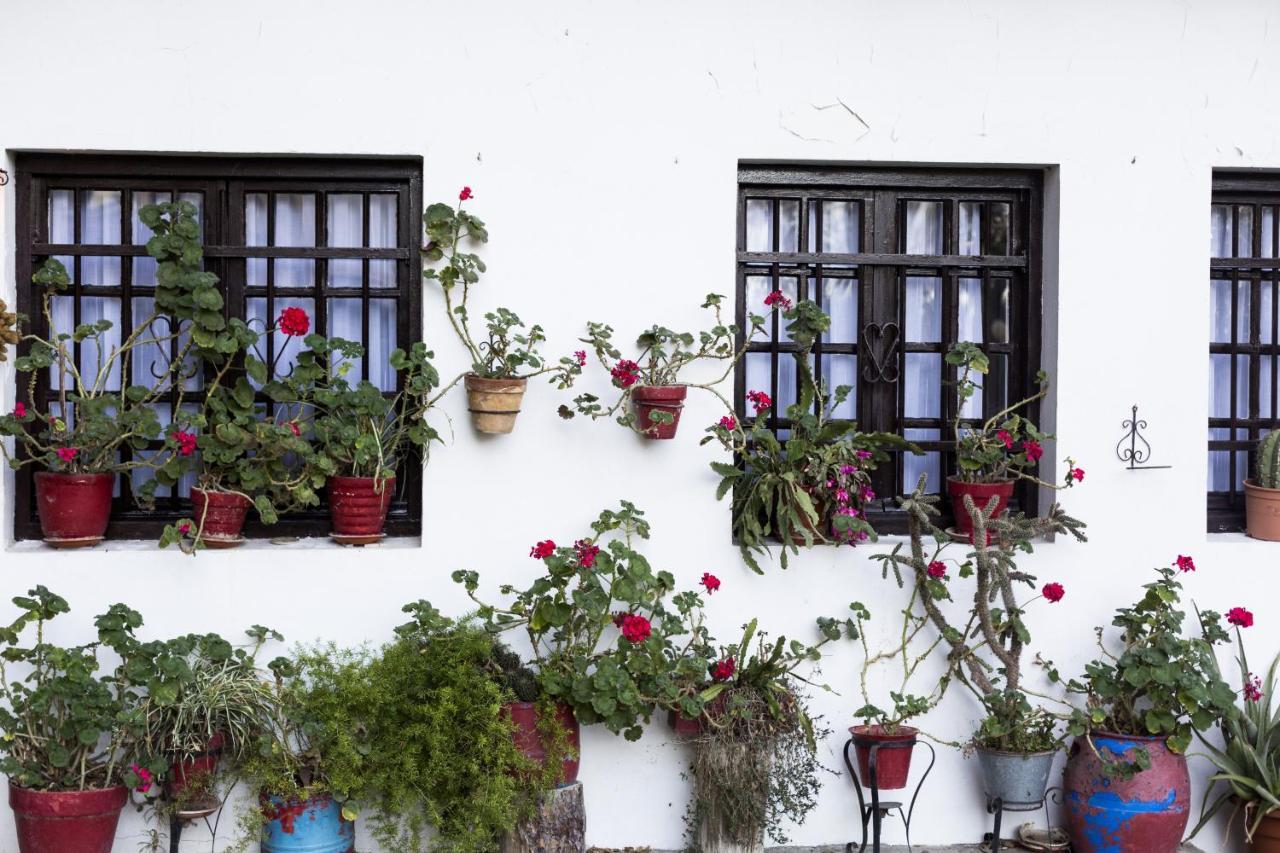 Olerki By Smiling Rentals Hondarribia Exterior foto